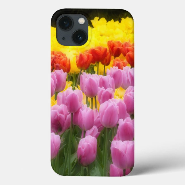 WA, Skagit Valley, Roozengaarde Tulip Garden, 2 Case-Mate iPhone Hülle (Rückseite)