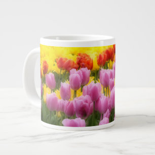 WA, Skagit Valley, Roozengaarde Tulip Garden, 2 Jumbo-Tasse