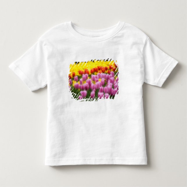 WA, Skagit Valley, Roozengaarde Tulip Garden, 2 Kleinkind T-shirt (Vorderseite)