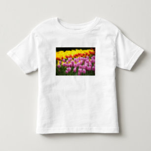 WA, Skagit Valley, Roozengaarde Tulip Garden, 2 Kleinkind T-shirt