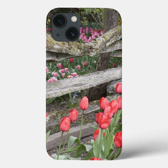 WA, Skagit Valley, Roozengaarde Tulip Garden, Case-Mate iPhone Hülle (Rückseite)