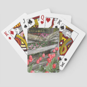 WA, Skagit Valley, Roozengaarde Tulip Garden, Spielkarten