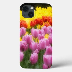 WA, Skagit Valley, Roozengaarde Tulipengarten, 2 Case-Mate iPhone Hülle