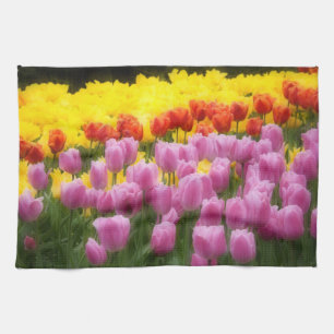 WA, Skagit Valley, Roozengaarde Tulipengarten, 2 Handtuch