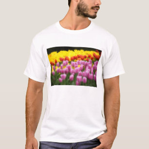 WA, Skagit Valley, Roozengaarde Tulipengarten, 2 T-Shirt