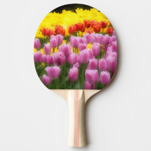 WA, Skagit Valley, Roozengaarde Tulipgarten, 2 Tischtennis Schläger