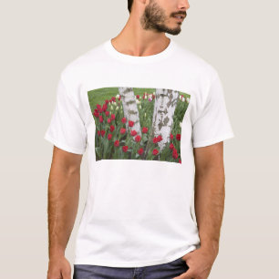 WA, Skagit Valley, Roozengaarde Tulipgarten T-Shirt
