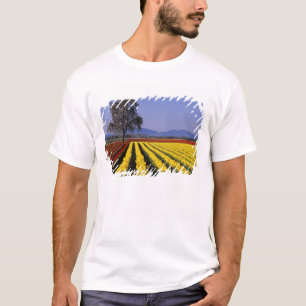 WA, Skagit Valley, Skagit Valley Tulip 2 T-Shirt