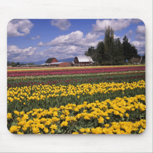 WA, Skagit Valley, Skagit Valley Tulip Mousepad
