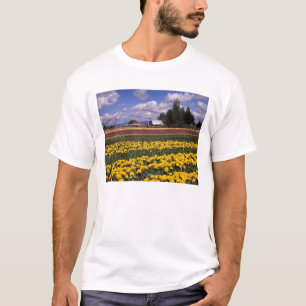WA, Skagit Valley, Skagit Valley Tulip T-Shirt