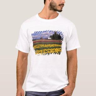 WA, Skagit Valley, Skagit Valley Tulip T-Shirt