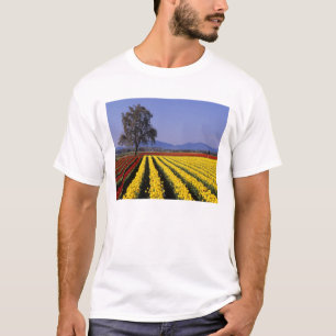 WA, Skagit Valley, Skagit Valley Tulpe 2 T-Shirt