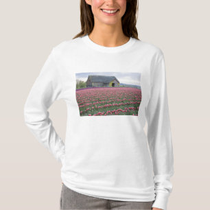 WA, Skagit Valley, Tulpenfeld und Scheune T-Shirt