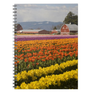 WA, Skagit Valley, Tulpenfelder in Blüte, bei Notizblock