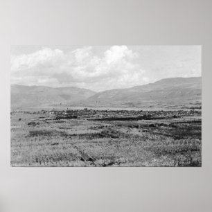 WA Town View und Orchard Fotograf Poster