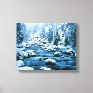 WA, Watchee National Forest, Kaskade Leinwanddruck