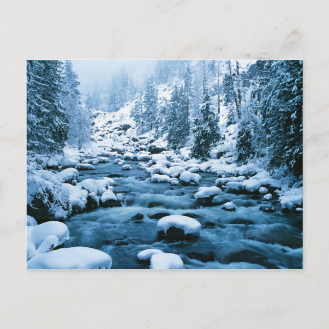 WA, Watchee National Forest, Kaskade Postkarte (Vorderseite)