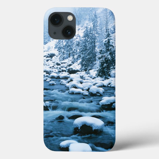 WA, Wenatchee National Forest, Cascade Case-Mate iPhone Hülle (Rückseite)