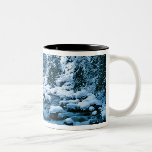 WA, Wenatchee National Forest, Cascade Zweifarbige Tasse