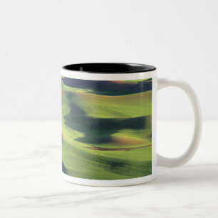 WA, Whitman County, Palouse-Ackerland, Blick Zweifarbige Tasse