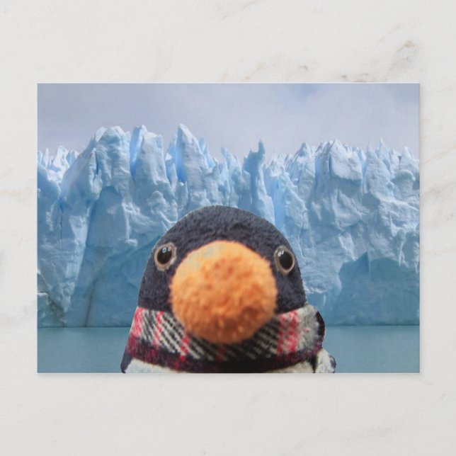 Wabbles Postkarte (Vorderseite)