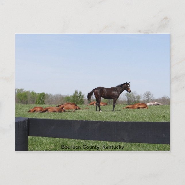 Wachdienst Postkarte (Vorderseite)