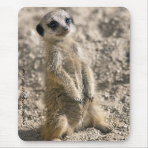 Wache, wenn Mousemat ausgebildet wird Mousepad