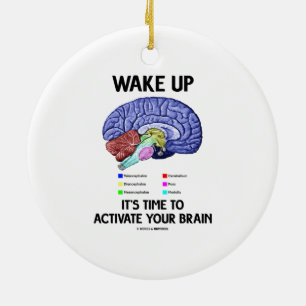 Wachen Sie es ist Zeit, Ihr Gehirn (auf Spaß) zu Keramik Ornament