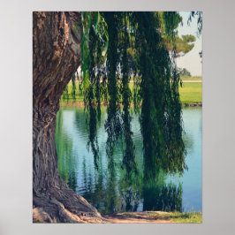 Wachen Willow Tree 20" x 16" Poster Paper (Matte)