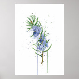 Wacholder Poster