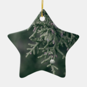 Wacholderbeeren Keramikornament