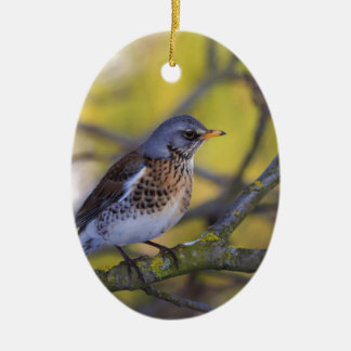 Wacholderdrossel Keramik Ornament