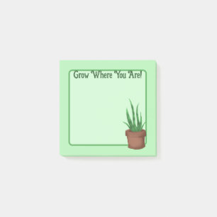 Wachs, wo du bist! (Hübsche gepunktete Pflanze) Post-it Klebezettel