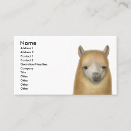 Wachsame Alpaka-Visitenkarte Visitenkarte