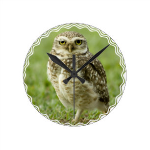 Wachsame Eulen-Uhr Runde Wanduhr