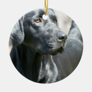 Wachsame schwarze Labrador Keramikornament