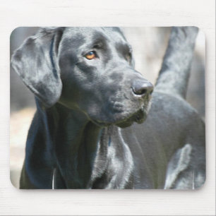Wachsame schwarze Labrador-Mausunterlage Mousepad