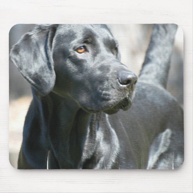 Wachsame schwarze Labrador-Mausunterlage Mousepad (Vorne)