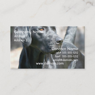 Wachsame schwarze Labrador retriever-Visitenkarten Visitenkarte