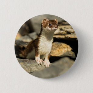 Wachsamer Weasel Button