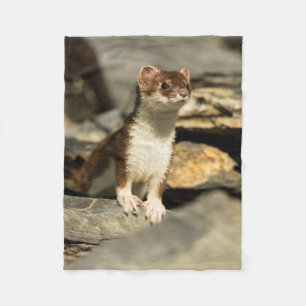 Wachsamer Weasel Fleecedecke