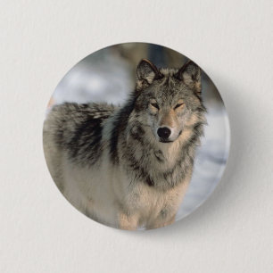 Wachsamer Wolf Button