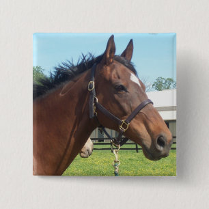 Wachsames arabisches PferdeButton Button