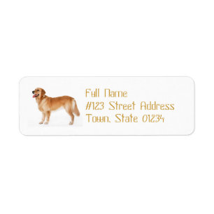 Wachsames golden retriever, das Aufkleber