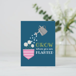 Wachsen, wo man Tascheninspektion gepflanzt wird Postkarte