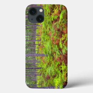 Wachsende Bracken (Pteridium Aquilinum) Case-Mate iPhone Hülle