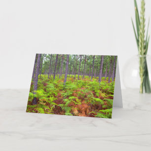 Wachsende Bracken (Pteridium Aquilinum) Feiertagskarte