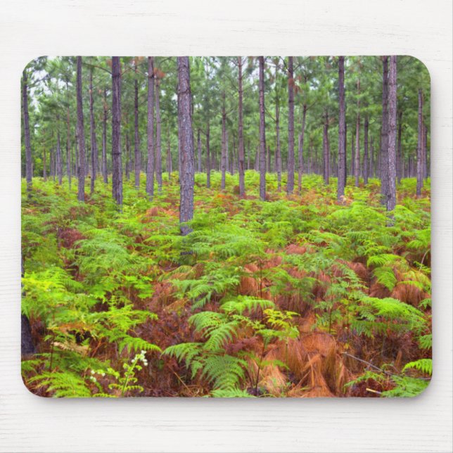 Wachsende Bracken (Pteridium Aquilinum) Mousepad (Vorne)