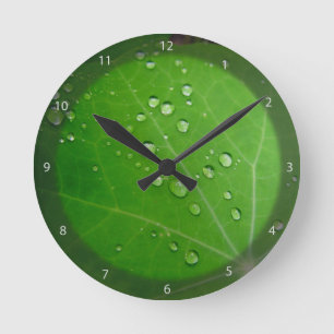 Wachsende Raindrops auf Nausturtiumblatt Runde Wanduhr