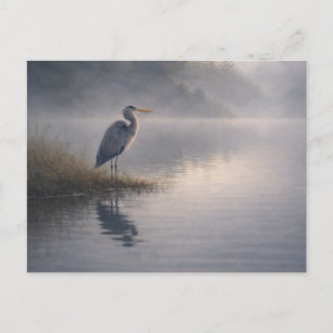 Wachsender Reiher Großer Blauer Reiher Postkar Postkarte